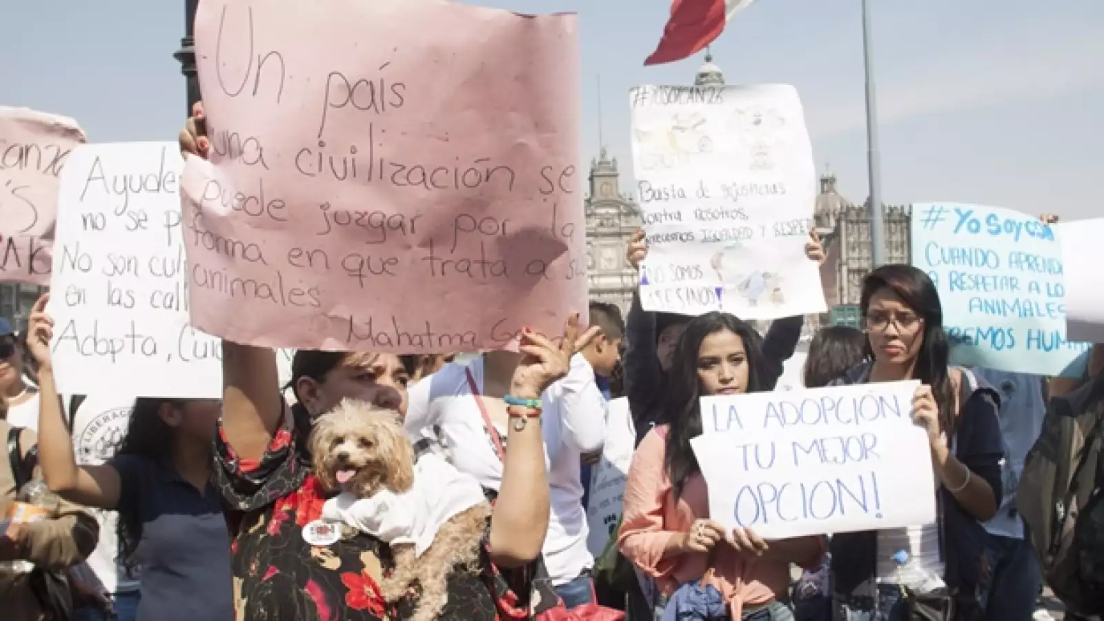 marcha pro perros #YoSoyCan26