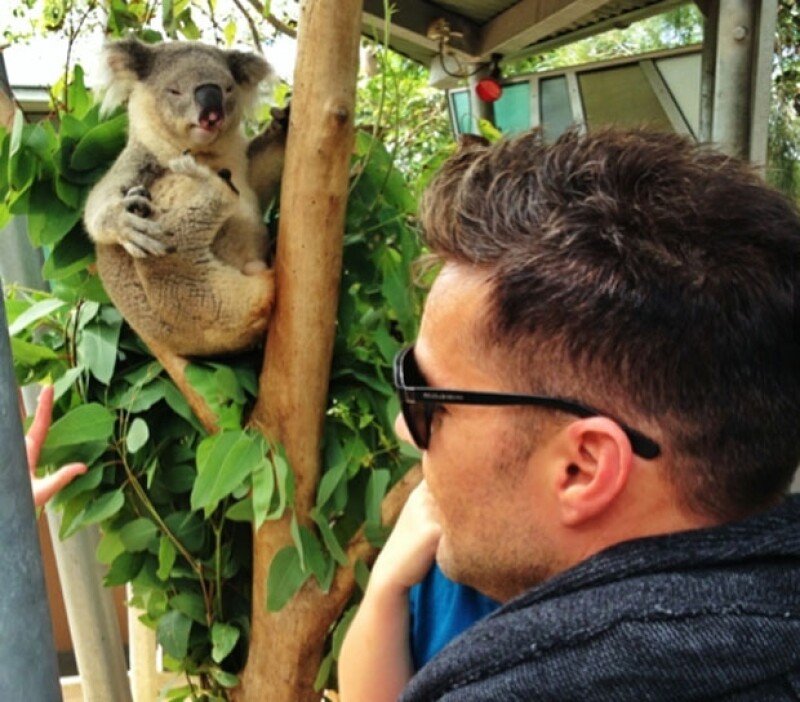 El koala que sorprendió al cantante y a sus hijos por sus tintes exhibicionistas.