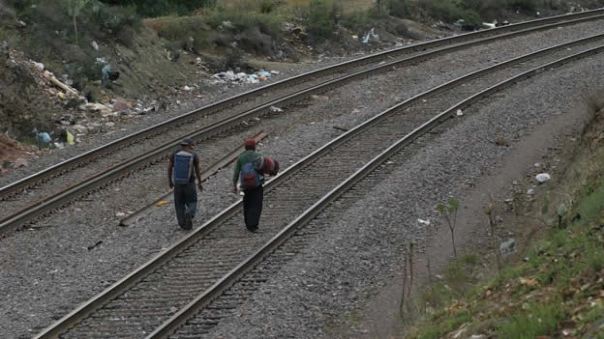 migrantes
