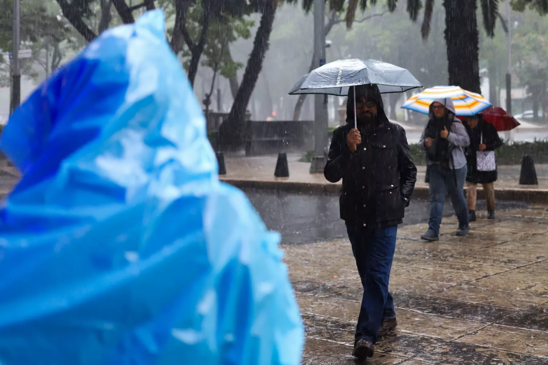 Lluvia Ciudad