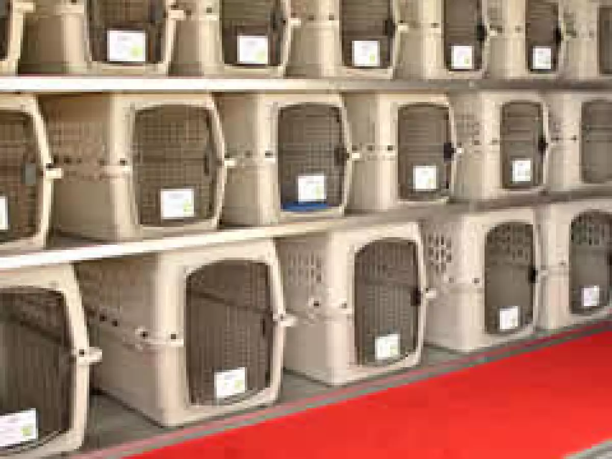 En lugar de asientos los aviones tienen jaulas para las mascotas. (Foto: Cortesía)