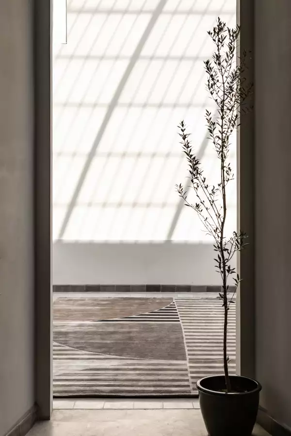 Mughal la marca de tapetes más top de la cdmx 
