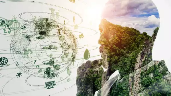 empresas sustentables - sostenibilidad - sustentable - negocios - responsabilidad con el medio ambiente