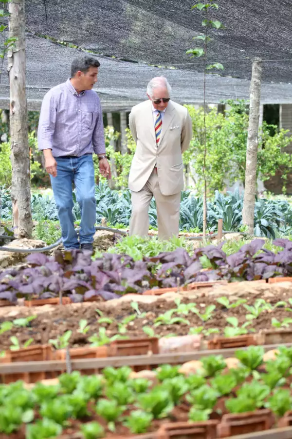 The Prince Of Wales And Duchess Of Cornwall Visit Cuba