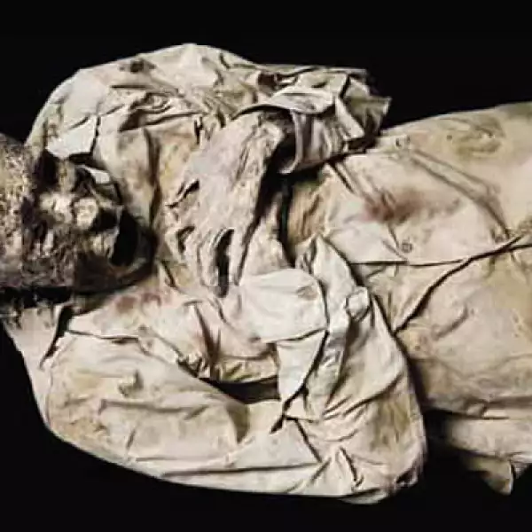 Las Momias de Guanajuato se cuidan alejandolas de rayos solares, de la humedad y de temperaturas mayores a los 24º centigrados.