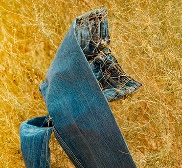 levis-501-circulares