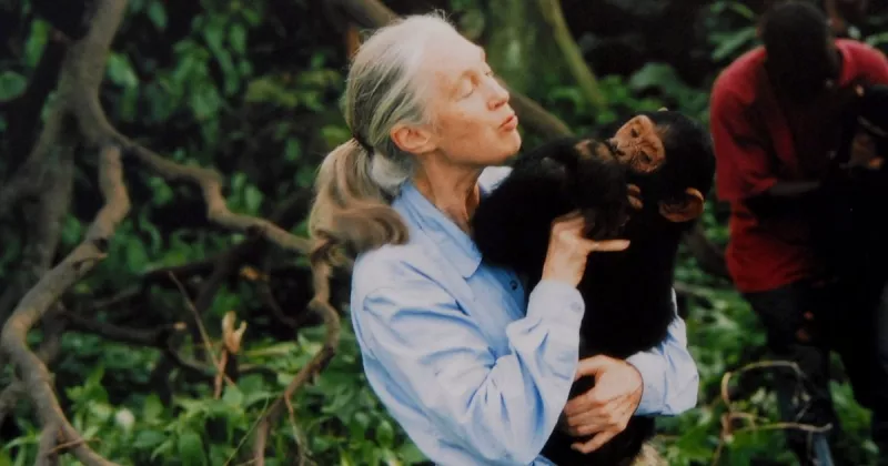 muere-Jane-Goodall.jpg