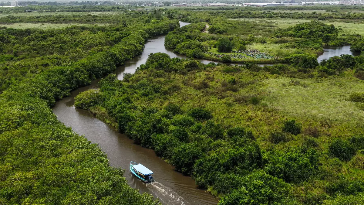 Manglares en Tuxpan