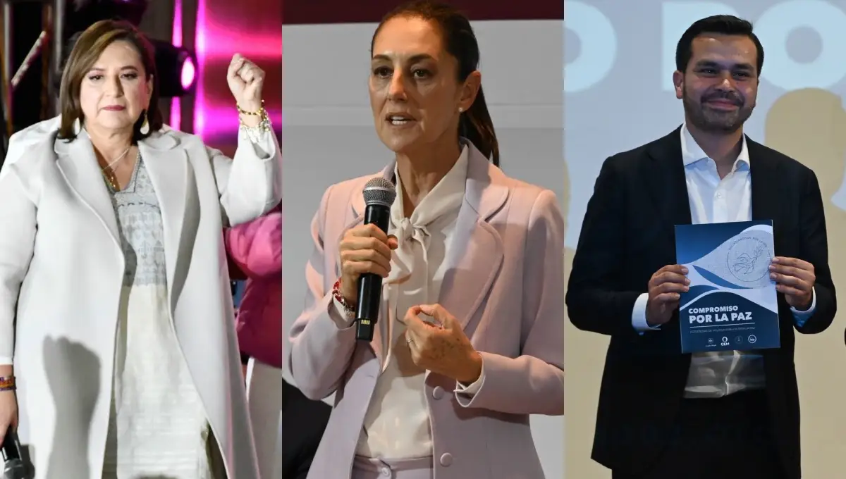 miedo-campañas-2024.jpg