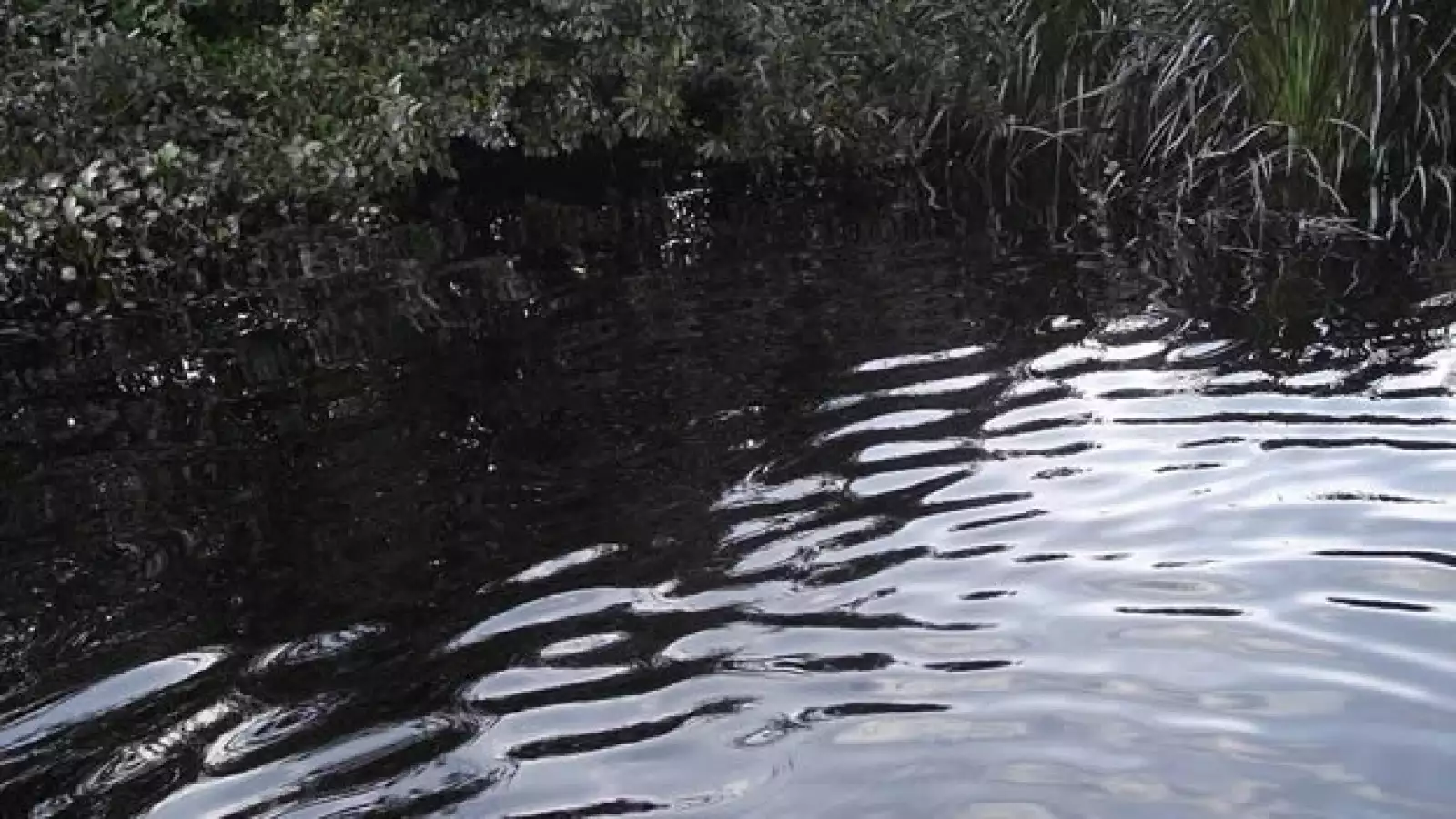 derrame de petróleo Veracruaz 2