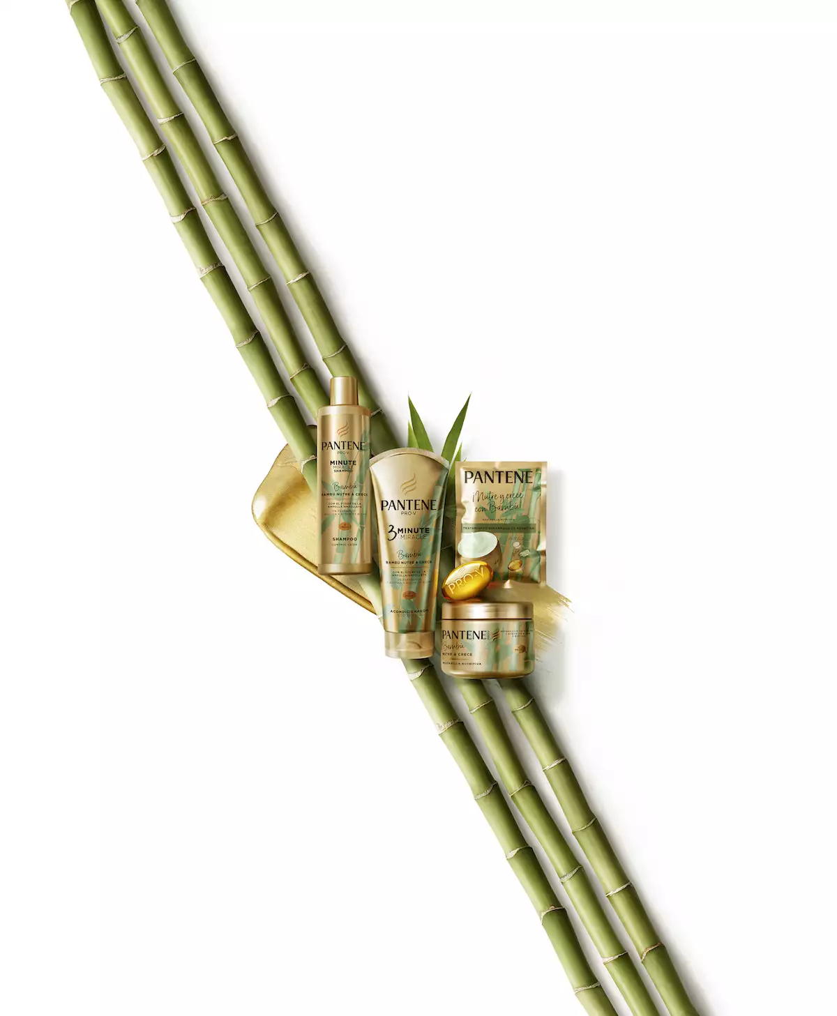 Bambú Nutre y Crece.jpg