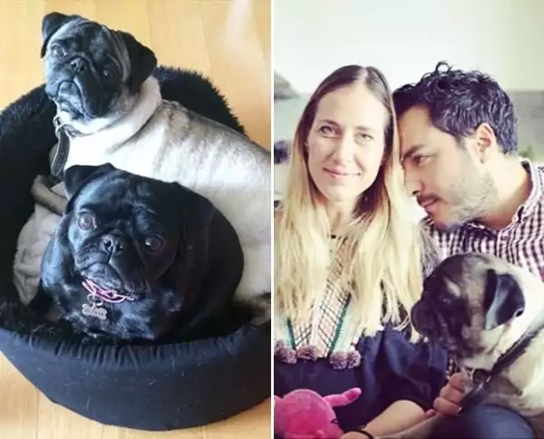 Manne Felici, Olivia y Sandro