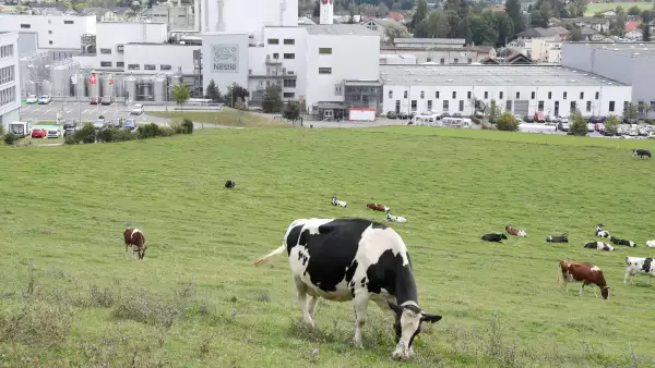 Nestlé y emisiones de metano