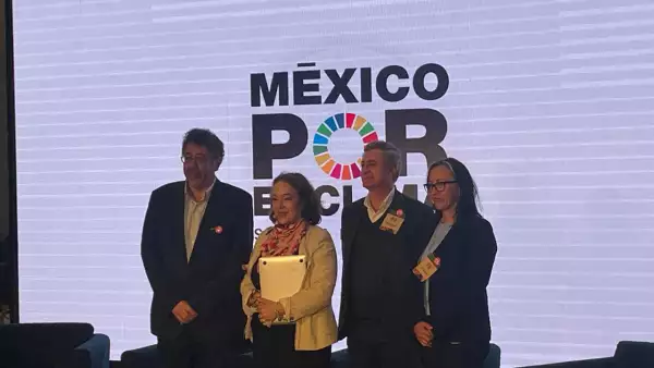 precio del carbono y México