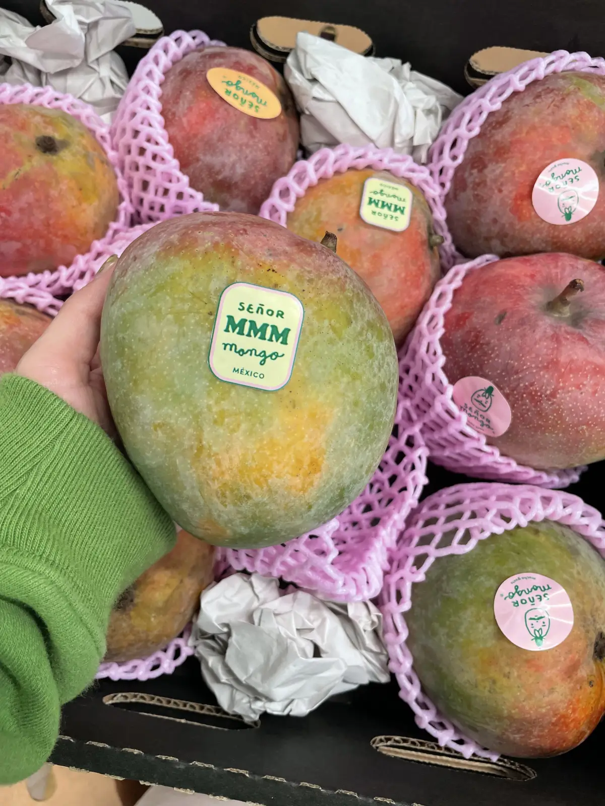 Señor Mango