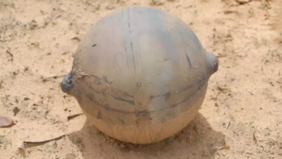 esfera espacial namibia
