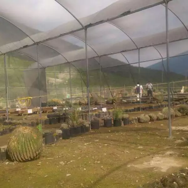 Planta de Cementos Fortaleza