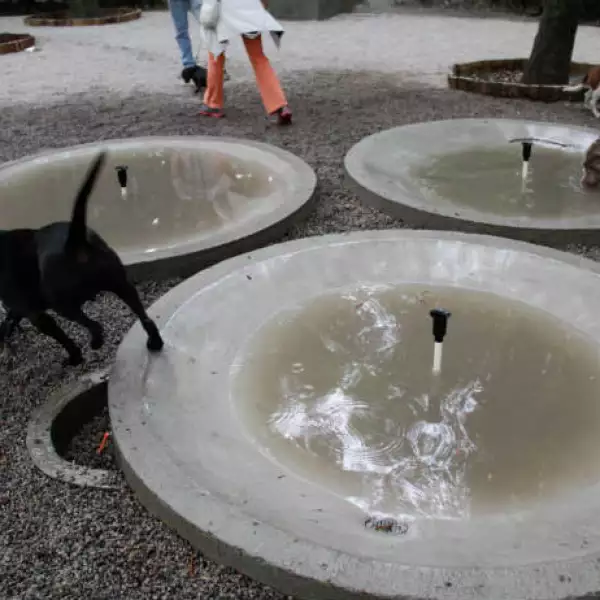 �rea canina Parque M�xico 3