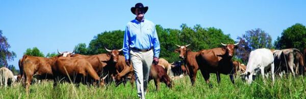 Además de criar ganado, en el rancho San Cristóbal se cultiva brócoli, papa y maíz.