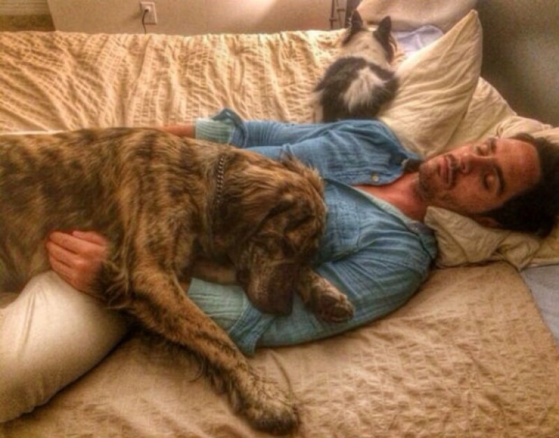 Aislinn captó esta foto de Mauricio durmiendo con Oso y su perrito Conejo.
