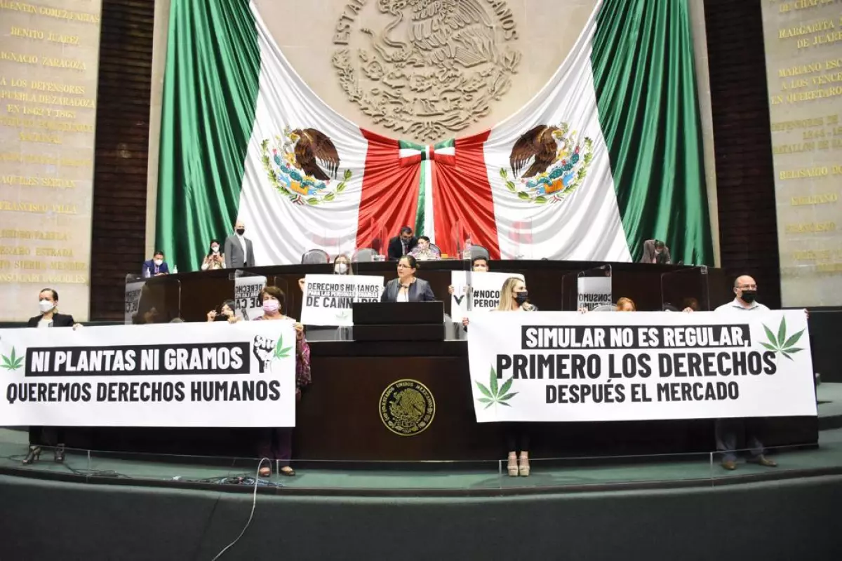 uso lúdico marihuana