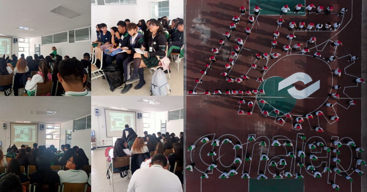 Bunlar Conalep'in sunduğu teknik kariyerlerdir