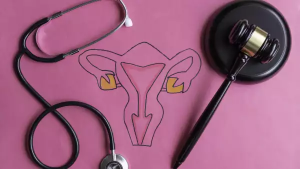 Dibujo del sistema reproductivo femenino con mazo de juez y estetoscopio sobre un fondo rosa. 