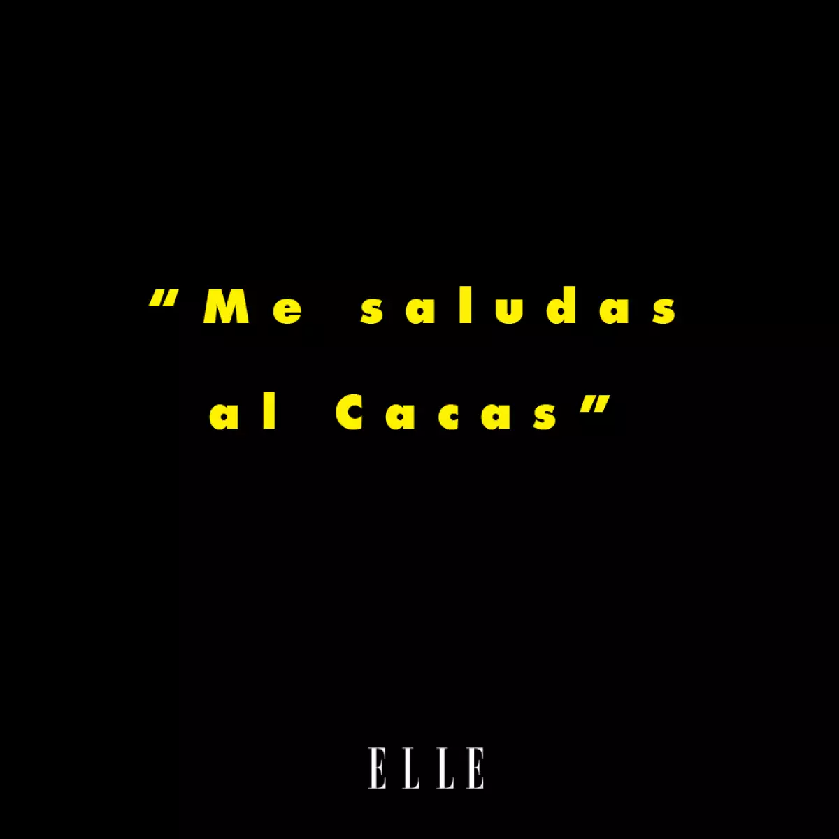 La-Casa-De-Las-Flores-Meme-ELLE-09