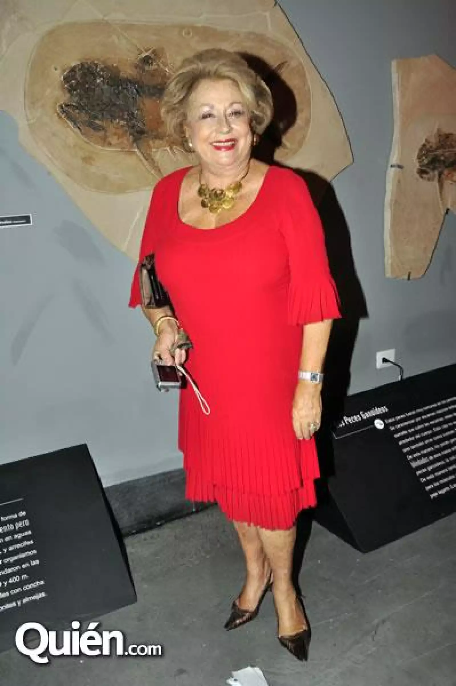 Inauguraci?el Museo El Centenario