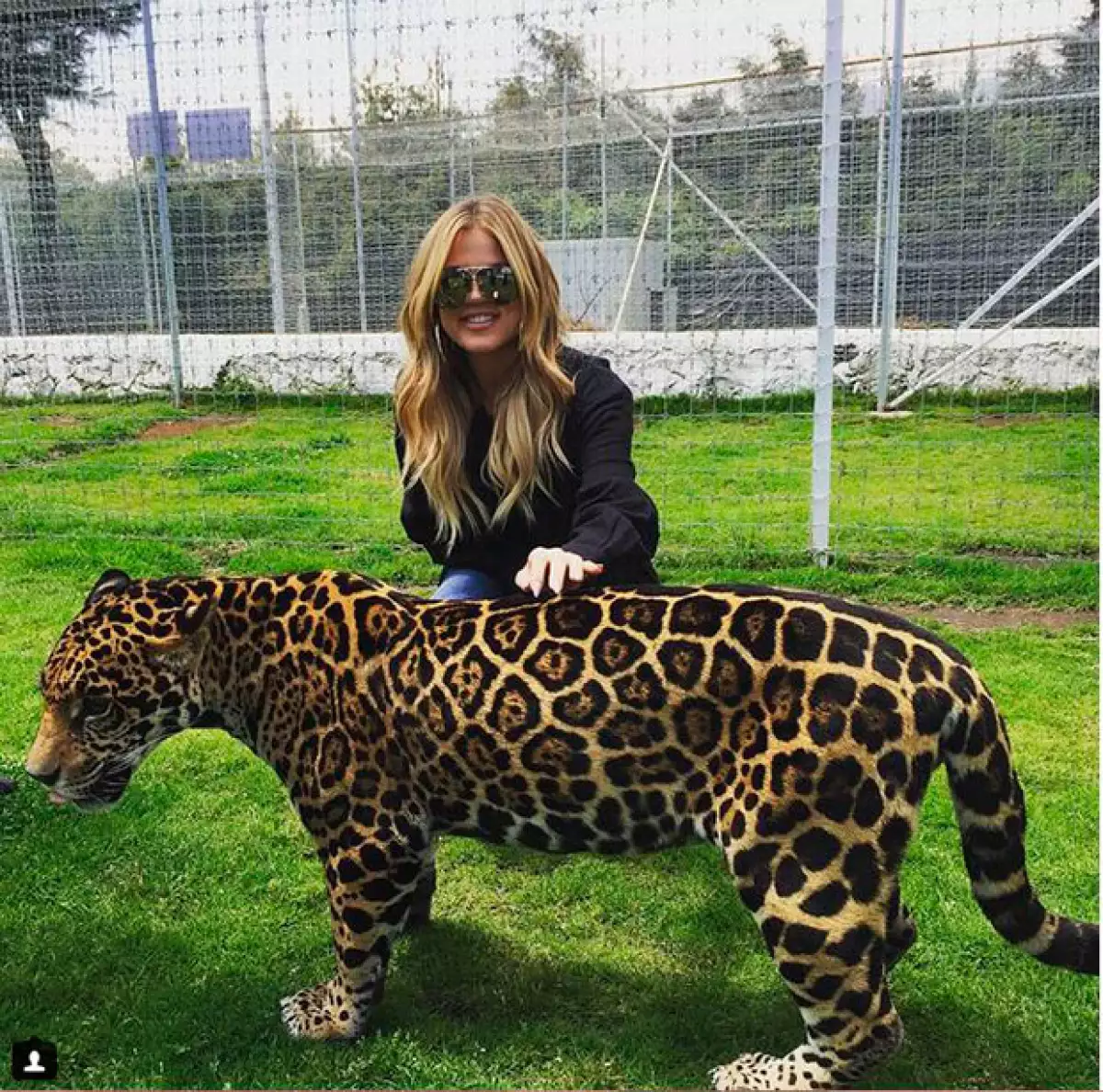 Las estrellas de reality visitaron Black Jaguar White Tiger Foundation México donde tuvieron la oportunidad de convivir con felinos.