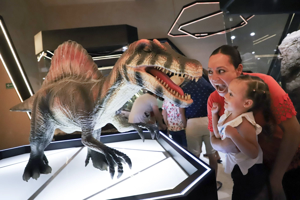 Museo del Meteorito