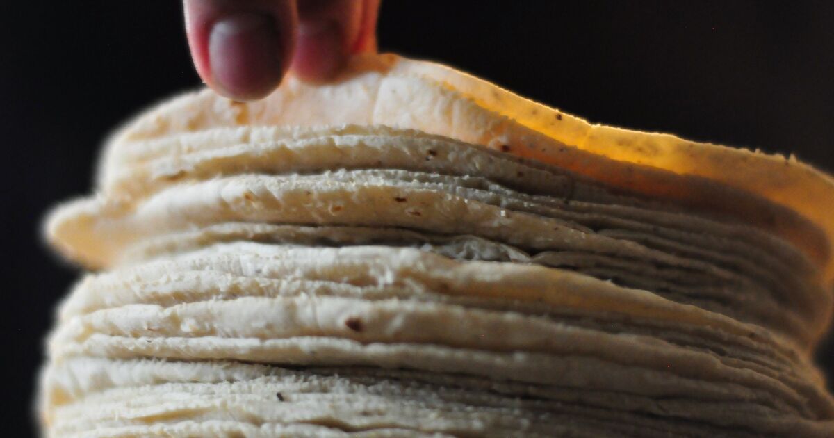 Kilosu 30 pesoya tortilla mı? Hükümet ve üreticiler, artışın haklı olup olmadığını analiz ederken artış konusunda çatışıyor