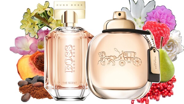 Hugo Boss The Scent for Her y Coach The Fragrance