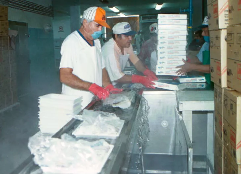 empacadora de camar�n