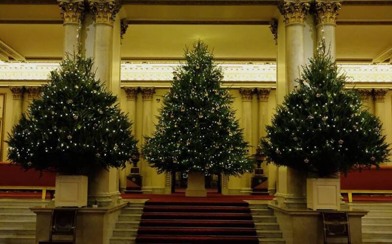 Árboles-NAvidad-Palacio-Buckingham.jpg.jpg