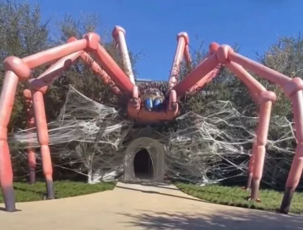 araña