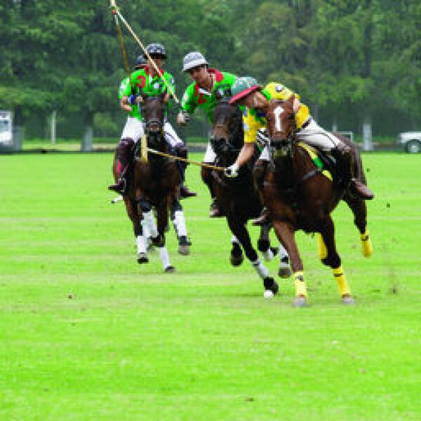 Campeonato Mundial de Polo 2008