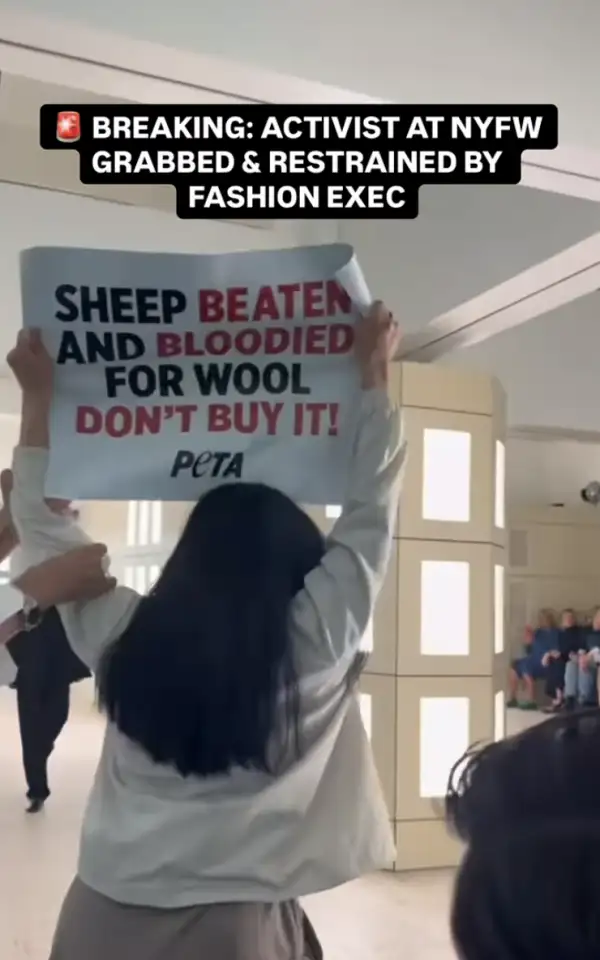 PETA.png