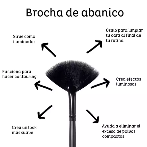 Brocha de abanico para iluminar.