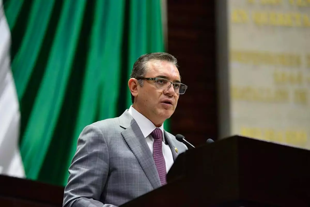 Diputado del partido Nueva Alianza.