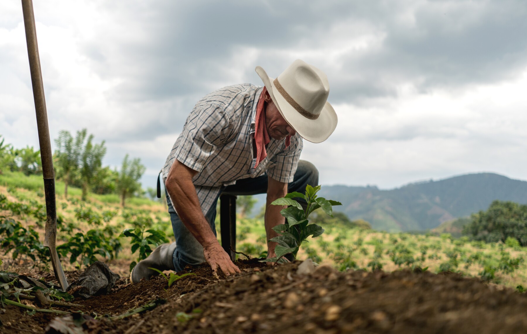 Consolidar acciones de inocuidad en alimentos impulsa al campo mexicano
