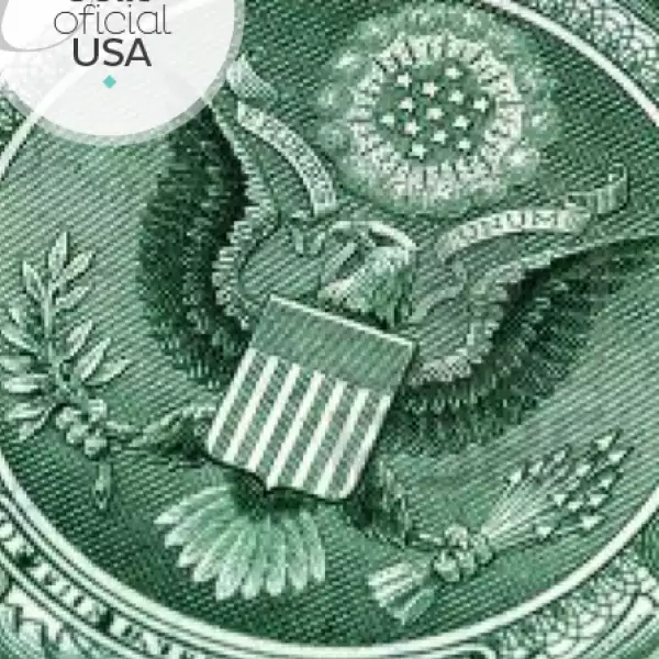 Luego de varias críticas el secretario de estado de Estados Unidos en 1882, Frederick Frelinghuysen recaudó fondos para rediseñar el sello oficial del país. Así en 1884 el congreso aprobó gastar mil dólares en un nuevo diseño que estuvo a cargo de Tiffany & Co.