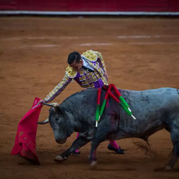 Mario Aguilar