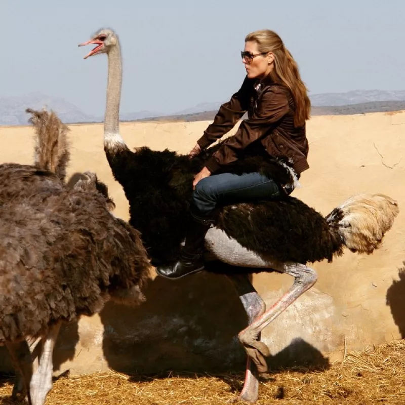 La conductora es conocida por viajar y ser intrépida, tanto, que ahora cambia los caballos por aves.