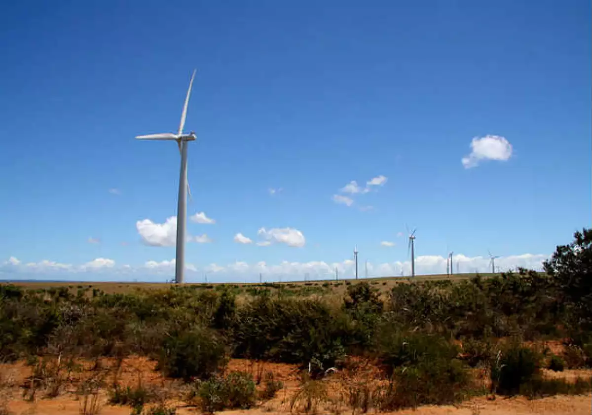 Planta E�lica