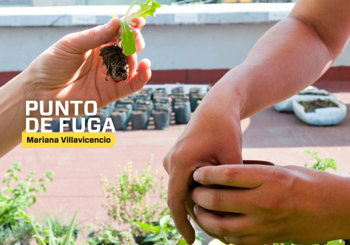 punto_de_fuga_28_08