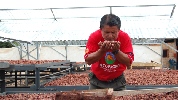 TCHOSource es nuestro �nico programa dedicado a colaborar directamente con los productores y trabajar estrechamente con ellos para producir un gran cacao.