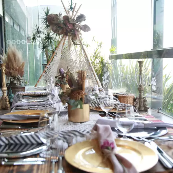 EXPERIENCIA PRESIDENTE/SERSANA