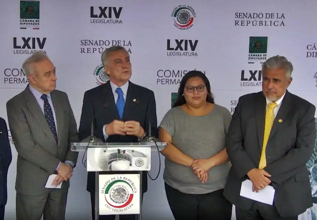Senadores de Morena Venezuela