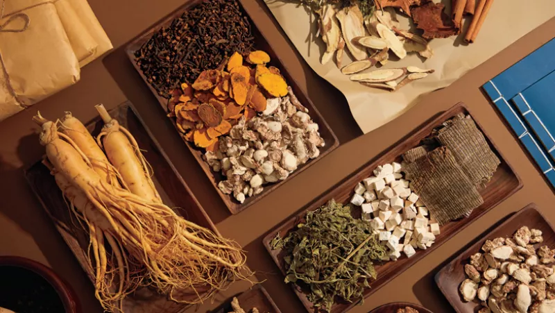 Qué son los adaptógenos